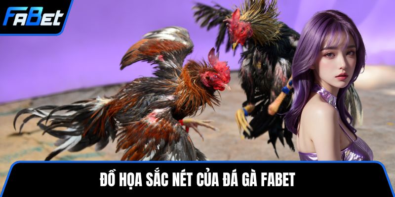 Đồ họa sắc nét của đá gà FABET