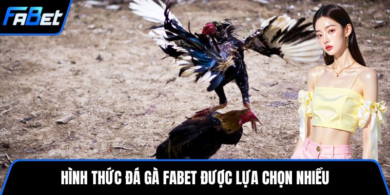 Hình thức đá gà FABET được lựa chọn nhiều
